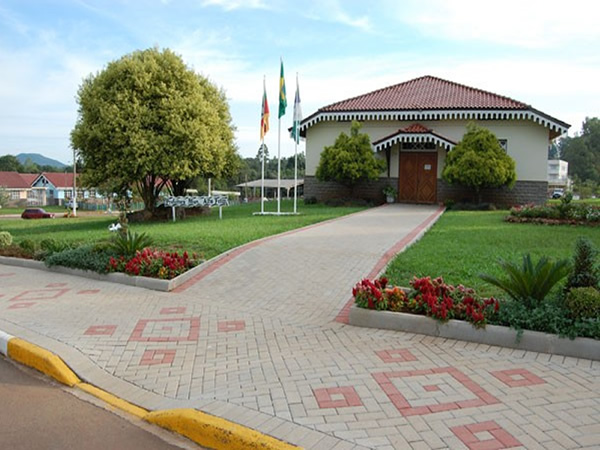 Venda e Plantio de grama e paisagismo