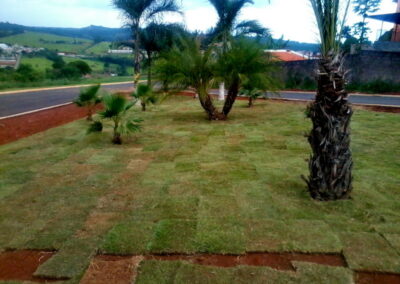 Venda e plantio de grama e paisagismo
