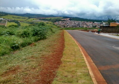 Venda e plantio de grama e paisagismo