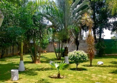Venda e plantio de grama e paisagismo