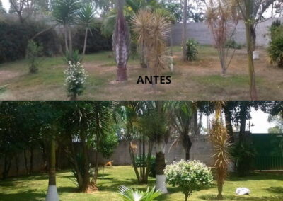 Venda e plantio de grama e paisagismo