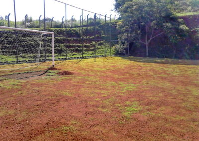 Venda e plantio de grama e paisagismo