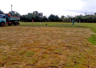 Venda e plantio de grama e paisagismo