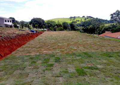 Venda e plantio de grama e paisagismo