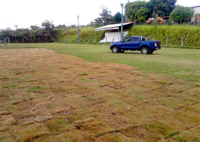 Venda e plantio de grama e paisagismo