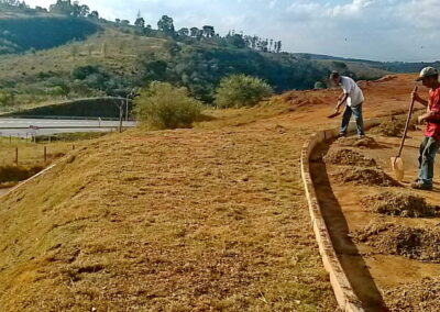 Venda e plantio de grama e paisagismo