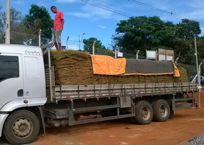 Venda e plantio de grama e paisagismo