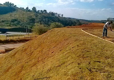 Venda e plantio de grama e paisagismo