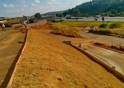 Venda e plantio de grama e paisagismo