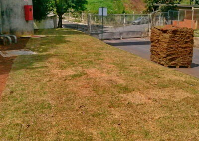Venda e plantio de grama e paisagismo