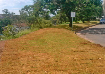 Venda e plantio de grama e paisagismo