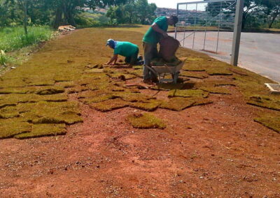 Venda e plantio de grama e paisagismo