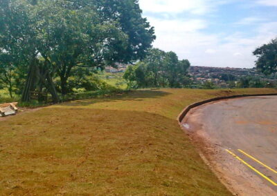Venda e plantio de grama e paisagismo