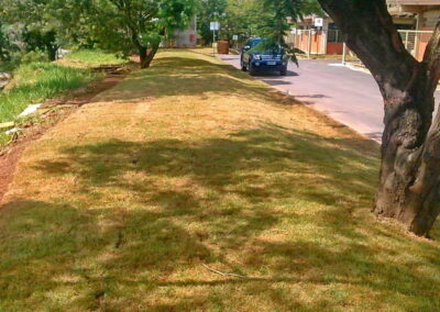 Venda e plantio de grama e paisagismo