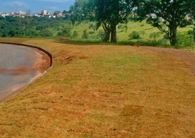 Venda e plantio de grama e paisagismo
